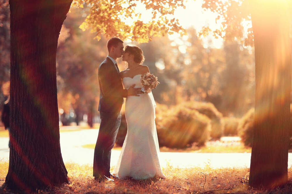A bride and groom strike a romantic pose in front of the Asheville, NC, foliage